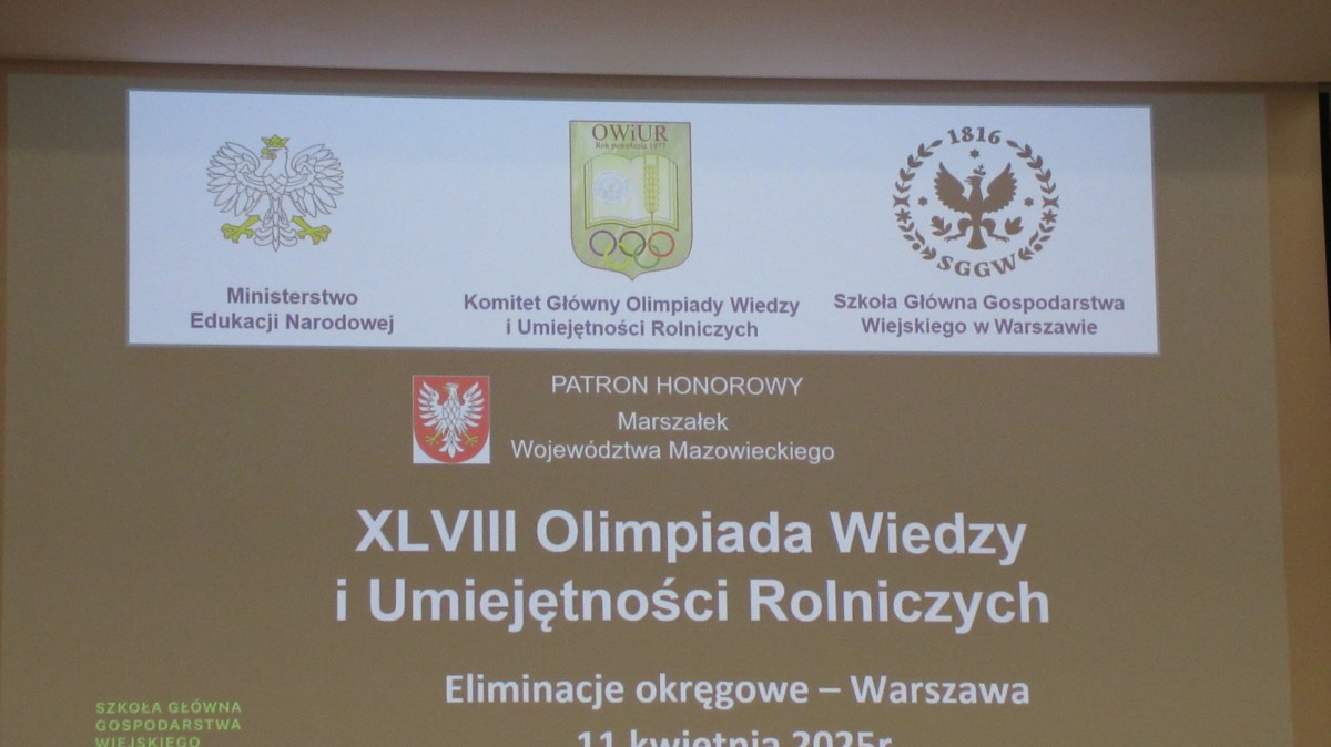 Wiktor w Finale Olimpiady!