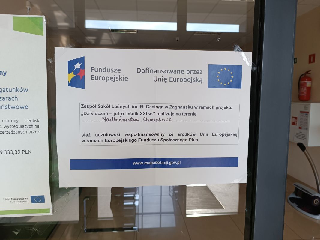 Staże dla uczniów Technikum Leśnego w ramach projektu „Dziś uczeń – jutro leśnik XXI wieku”