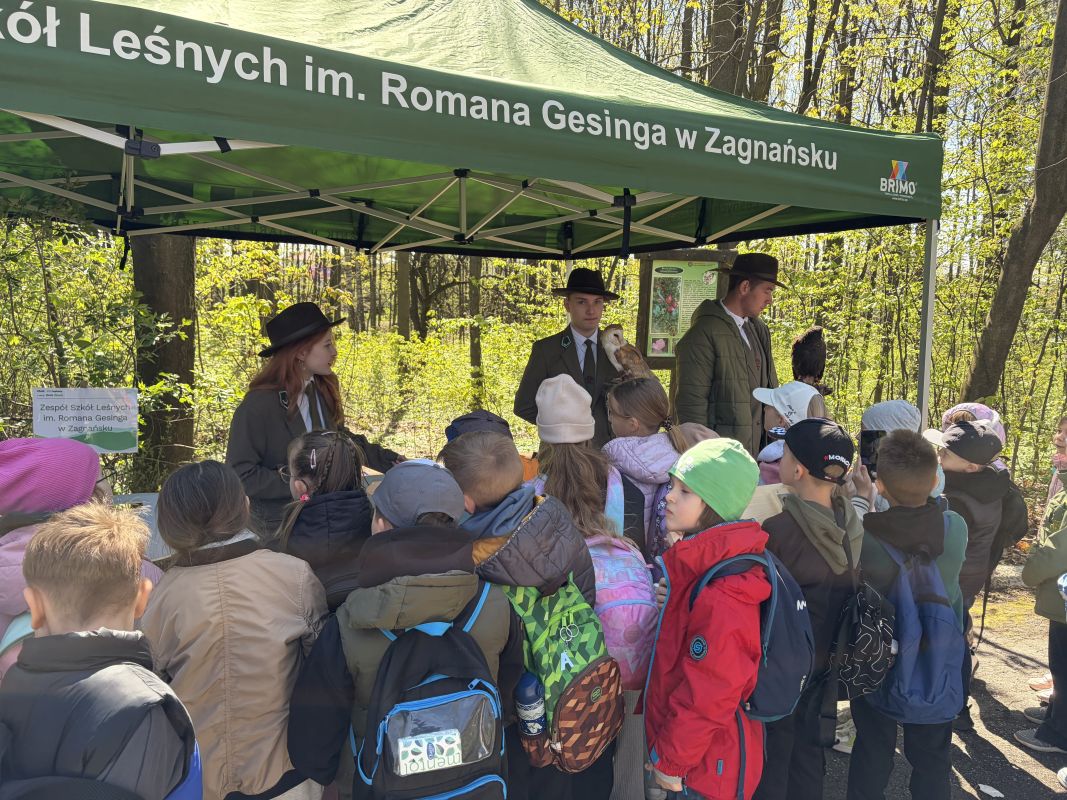 Nasi sokolnicy na Pikniku EKOlogicznym