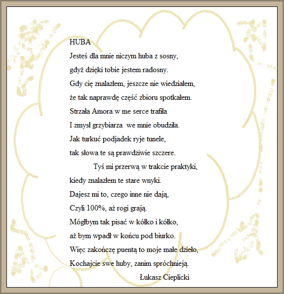 HUBA 6