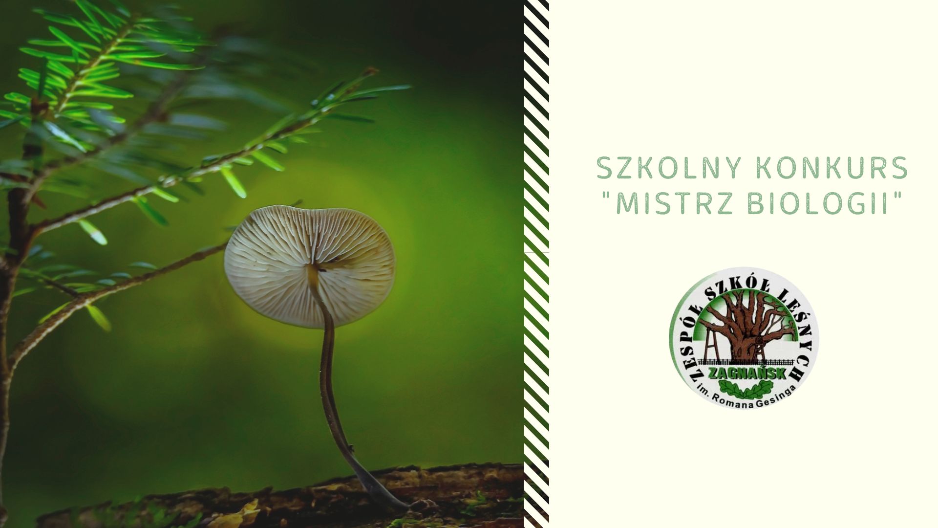 Mistrz biologii 2026