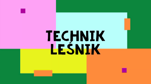Technik leśnik